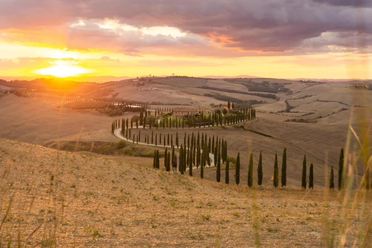 La Stalla De La Costa Asciano Exteriör bild